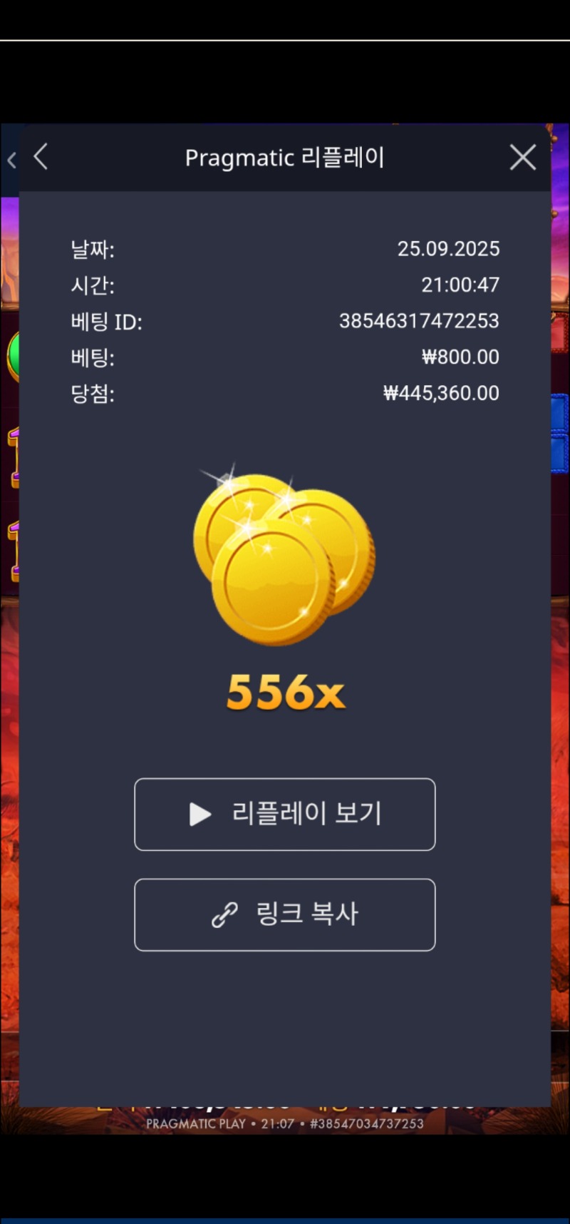 버메가 556배