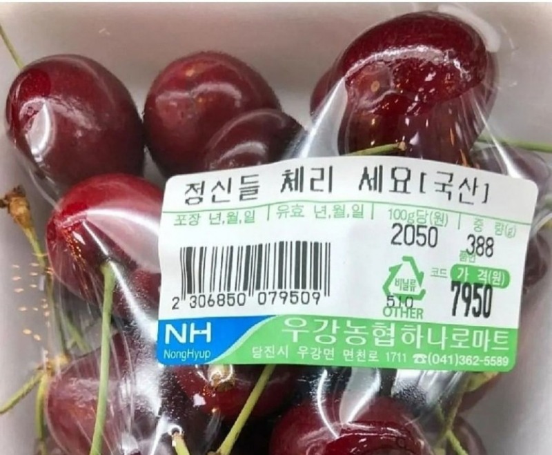제목센스 지리네