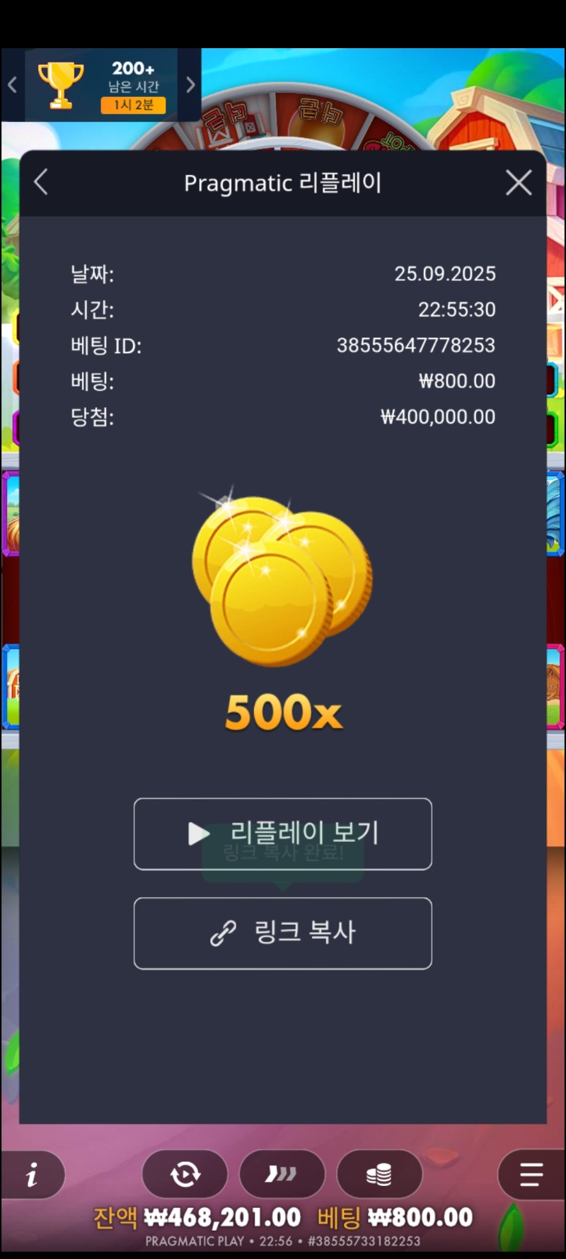 신갬 농장 하우스500배