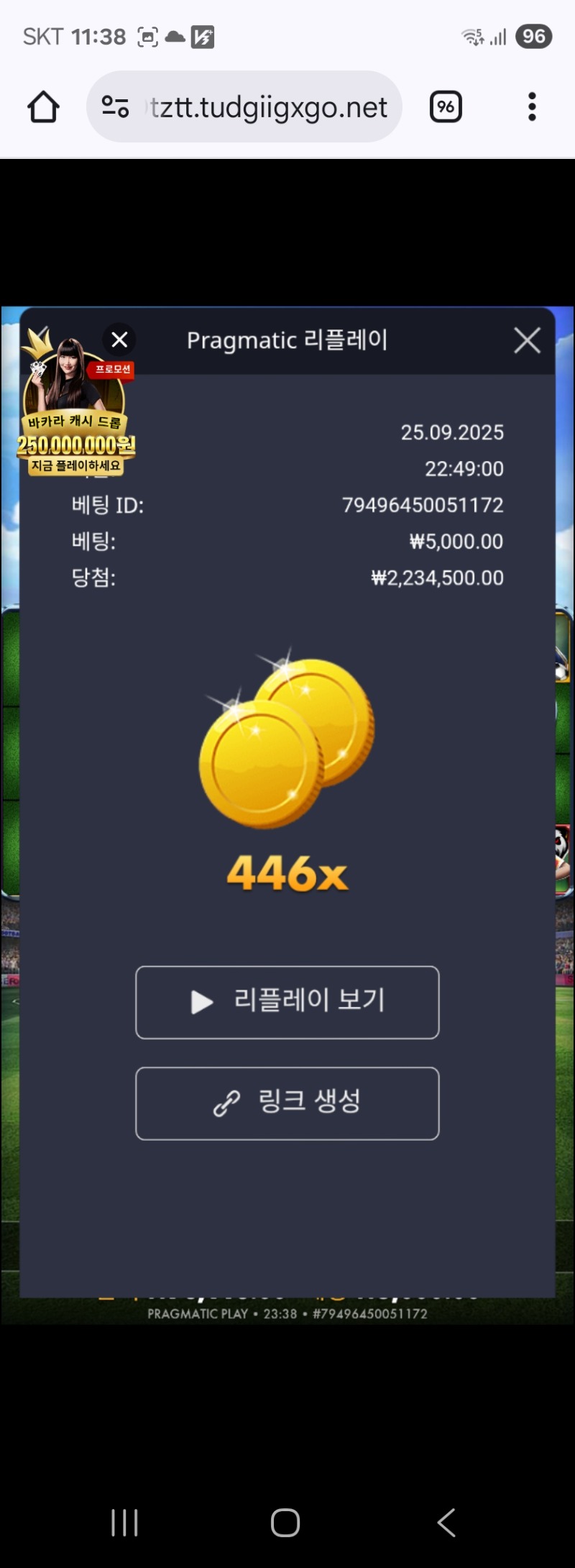 축구446배*5000냥