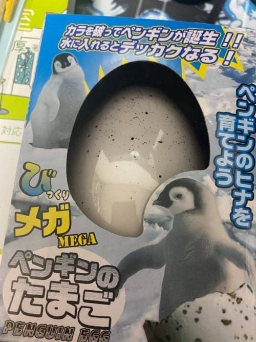 물에 넣으면 부화하는 펭귄