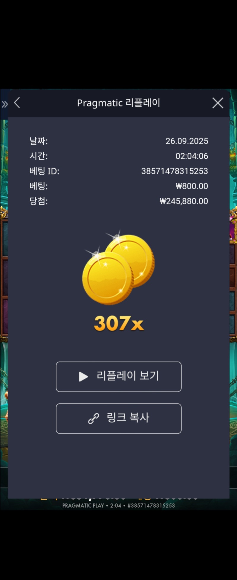 창식이 (레전드오브히어로) 307