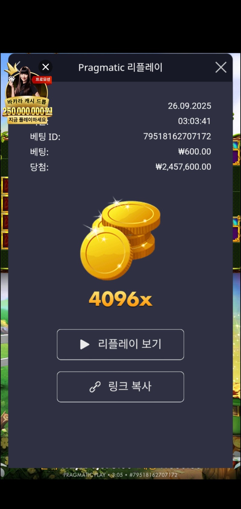 와와리 4096. 배