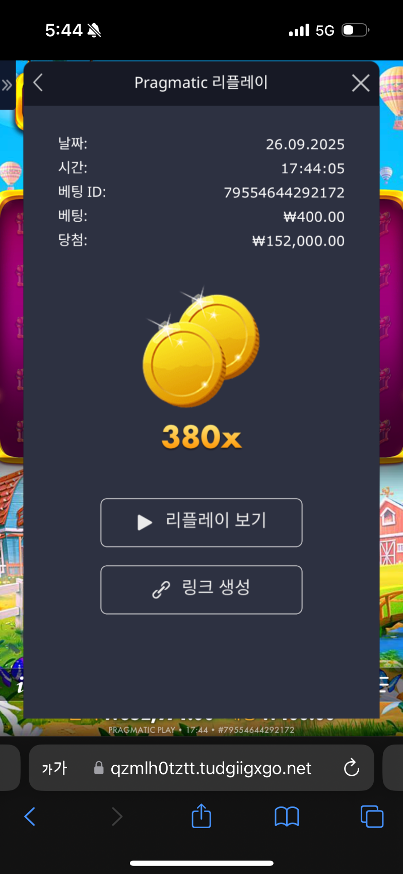 황급삽 2개 380배