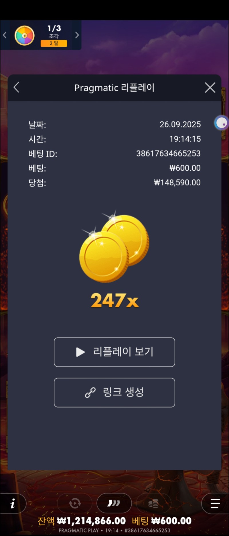 올림포지 247배