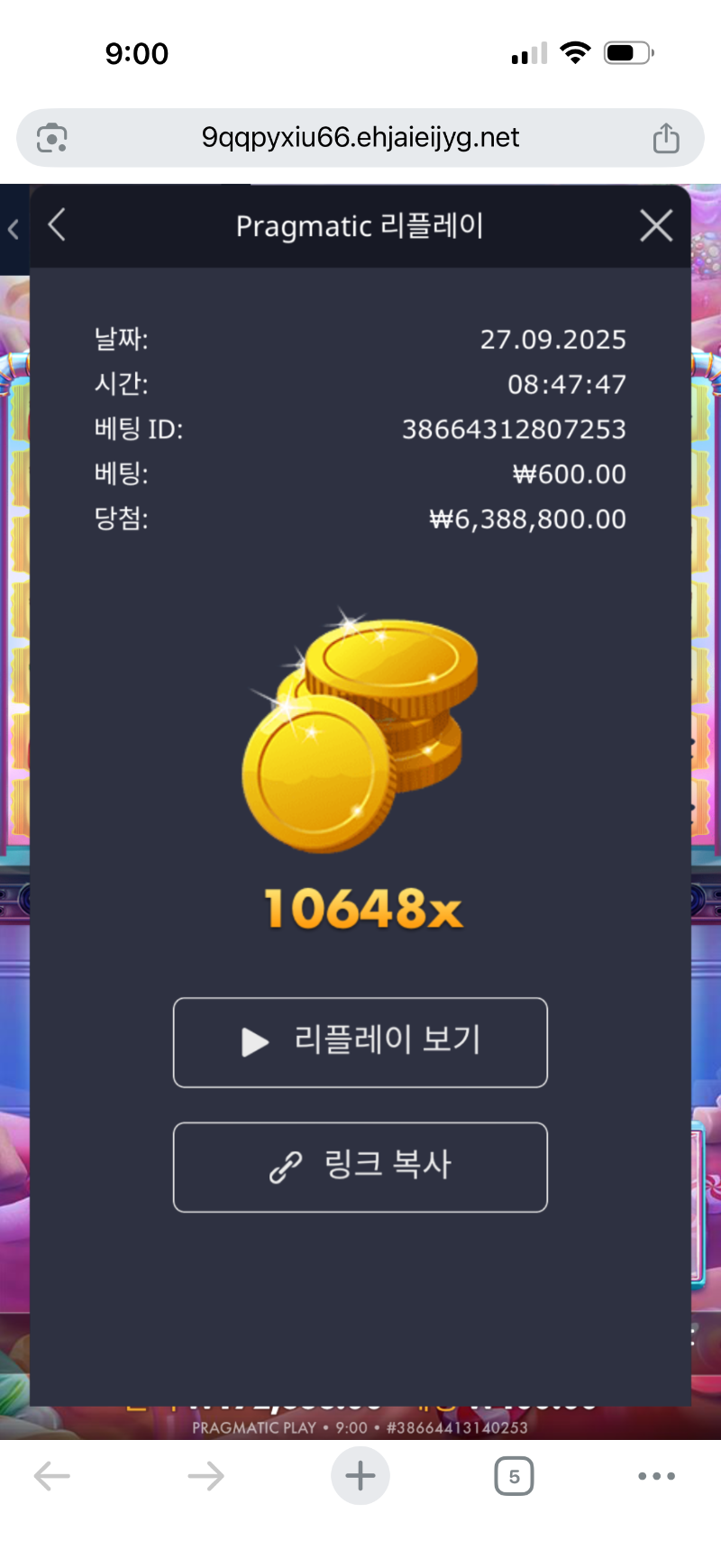 배당왕 참여  10648배