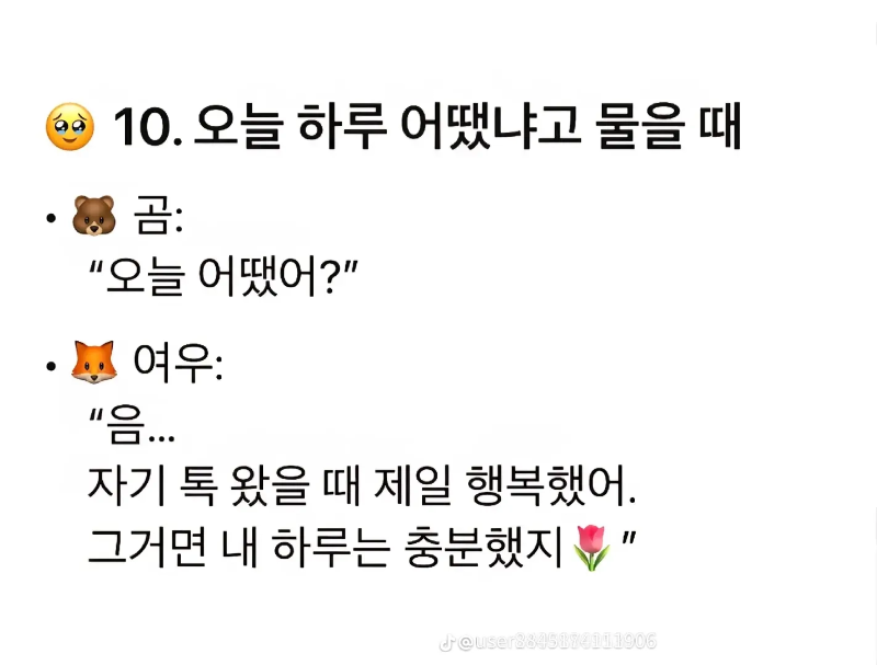 굿밤~곰같은여자? 여우같은여자?