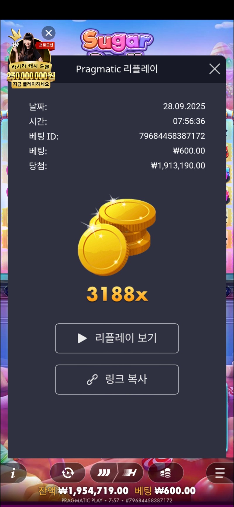 슈천 3188
