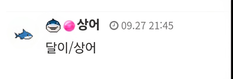 오늘 최바비 상어 픽