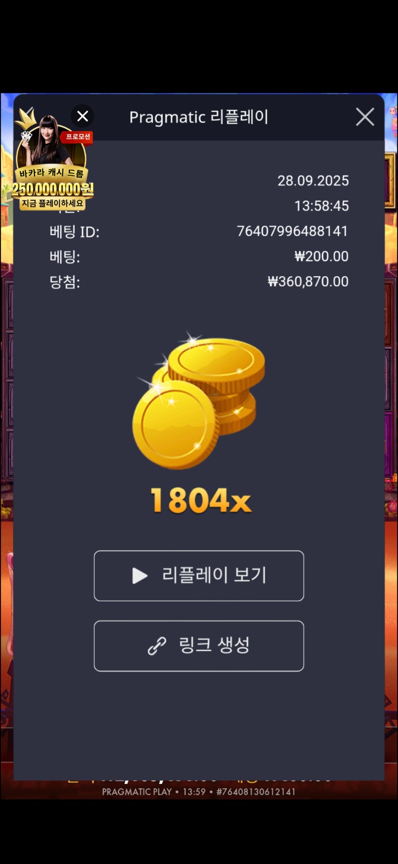 무에르1804배