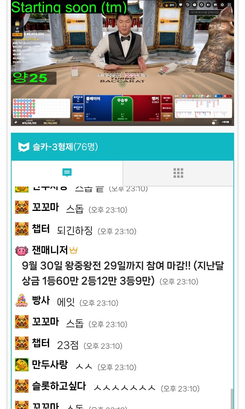 양이 23점마무리