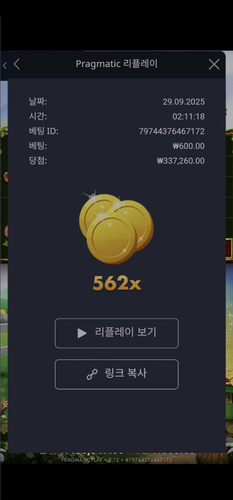 와일드와일드리치 562배