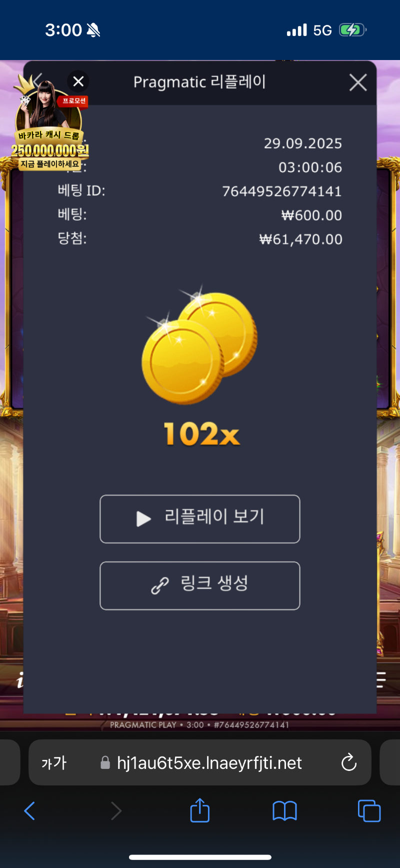 가토천 102배