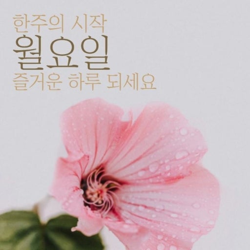 월요일...즐거운 하루 되세요.