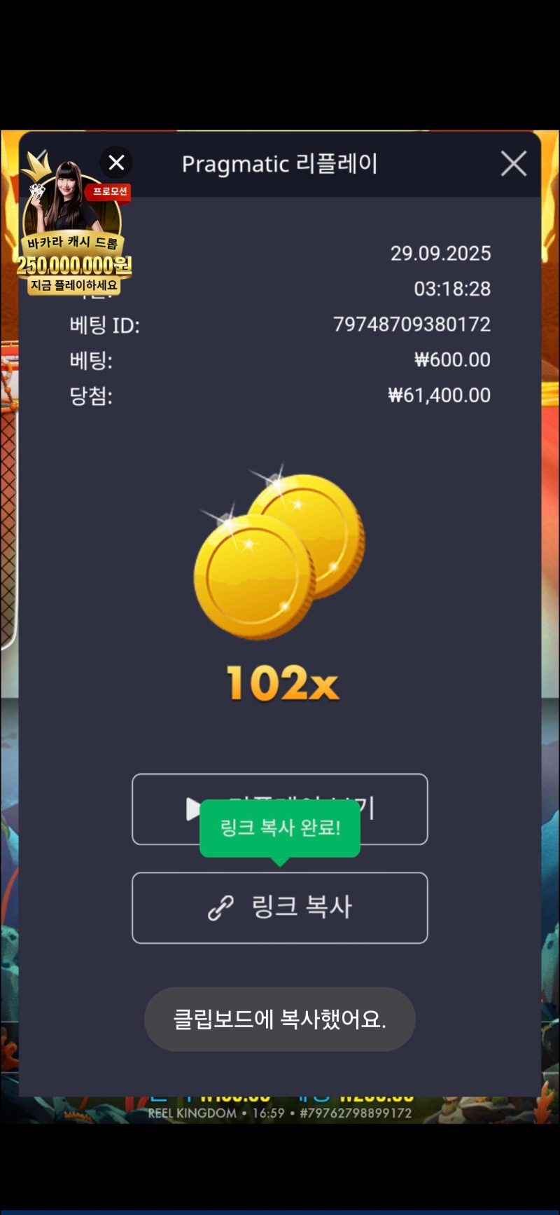 빅베스플로트마이보트 102배