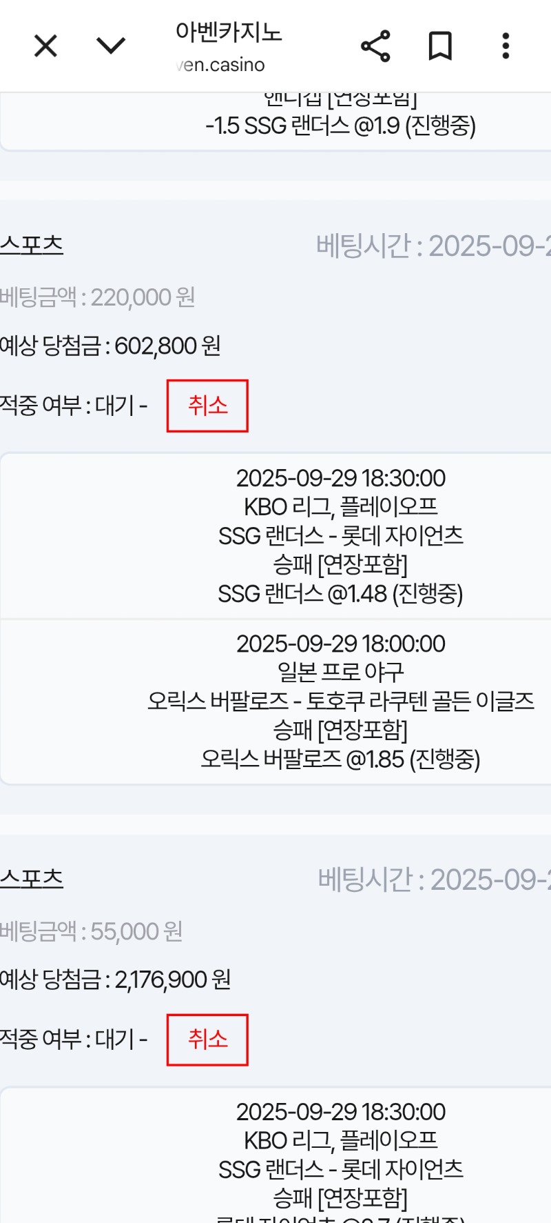 스포츠
