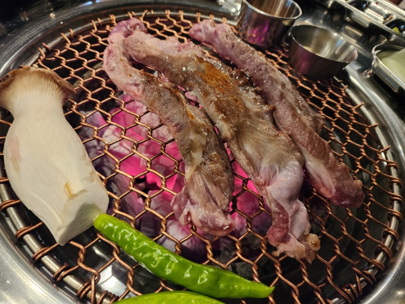 사자때문에 꼬기먹으러옴