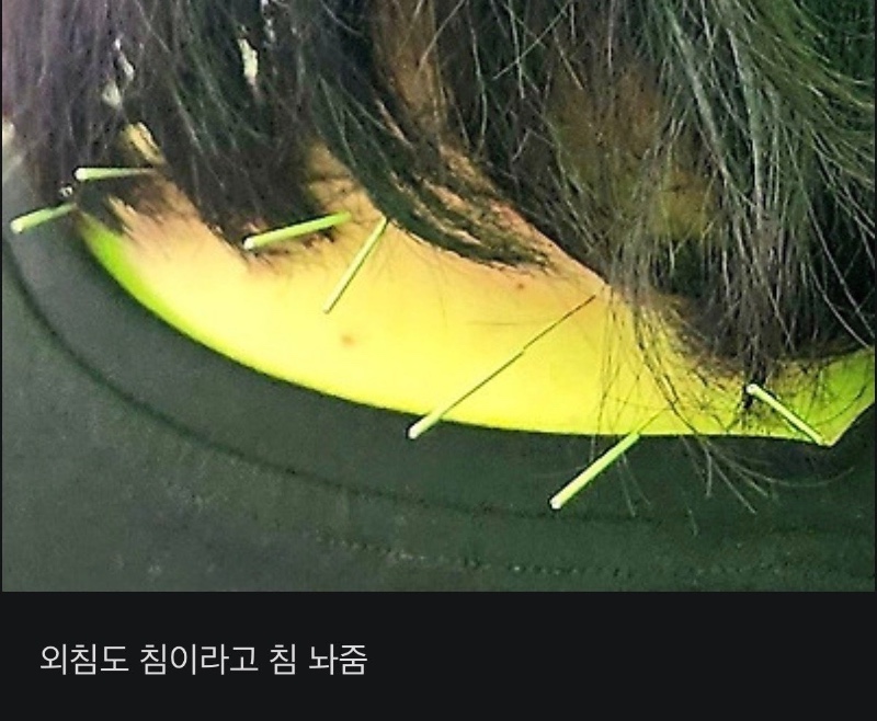 락페스티벌에 : 왜 한의사가