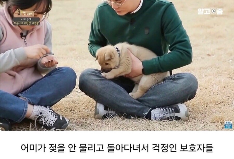 이상하게 통실했던 5주차 댕댕이