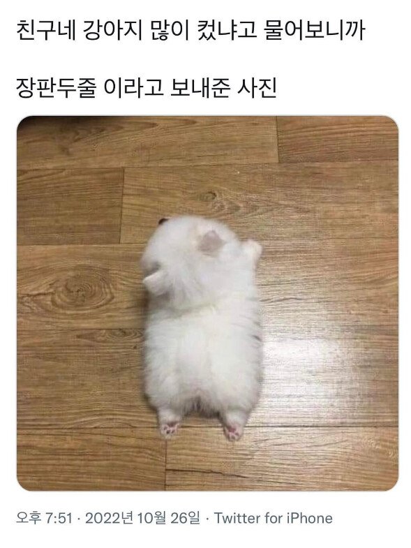 유부녀 GOAT 침대 위 하이레그