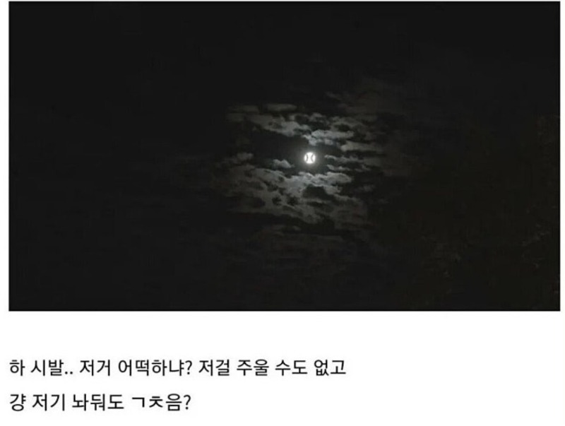 밤에야구하다 공잃어버렸내요