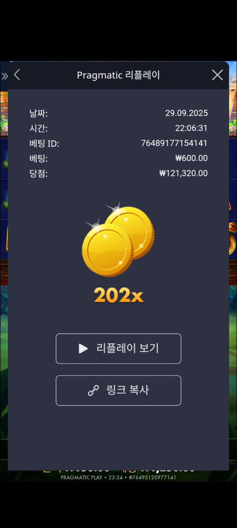 아즈메202