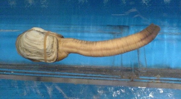 퀑 오빠 물건 대단하다!!!! 역시 넘버원