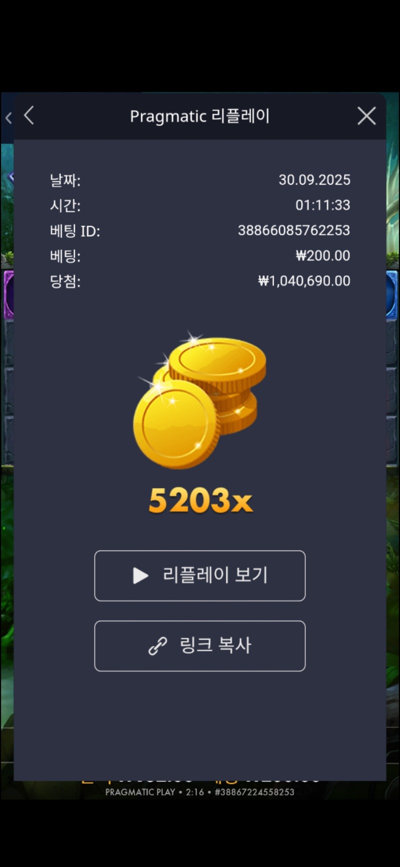 멀린 5203