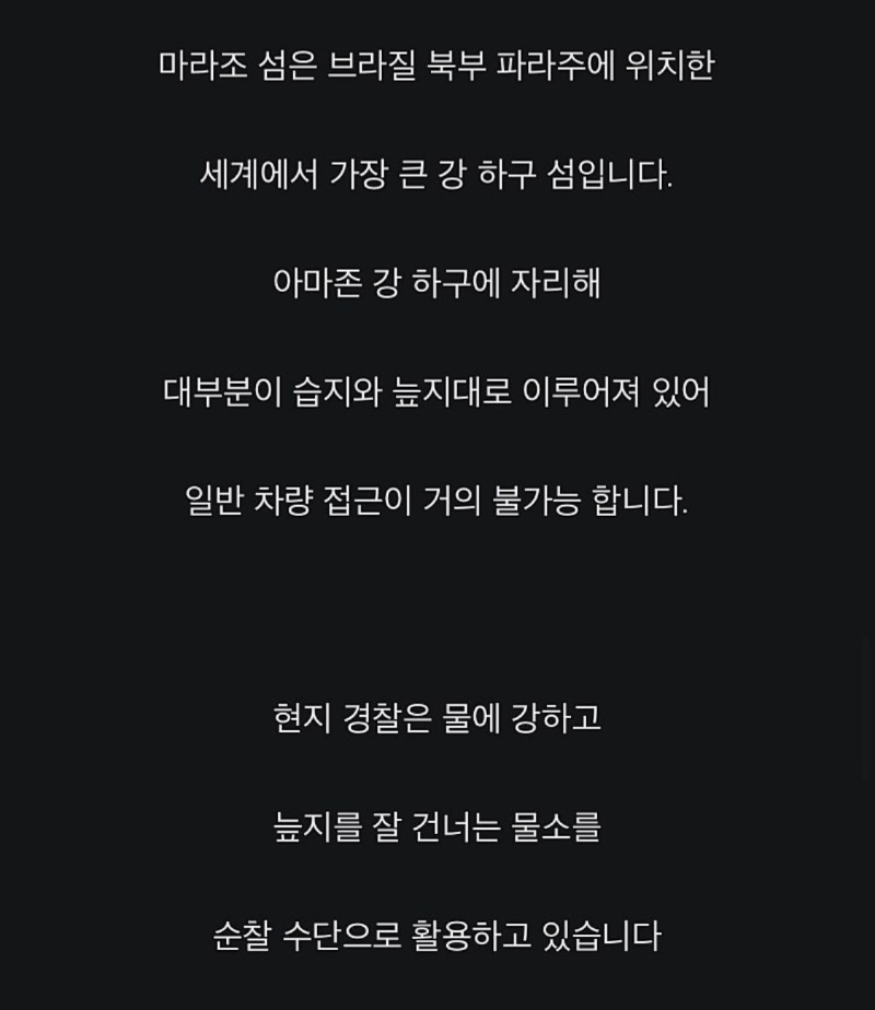 순찰차 대신 물소 타는 브라질