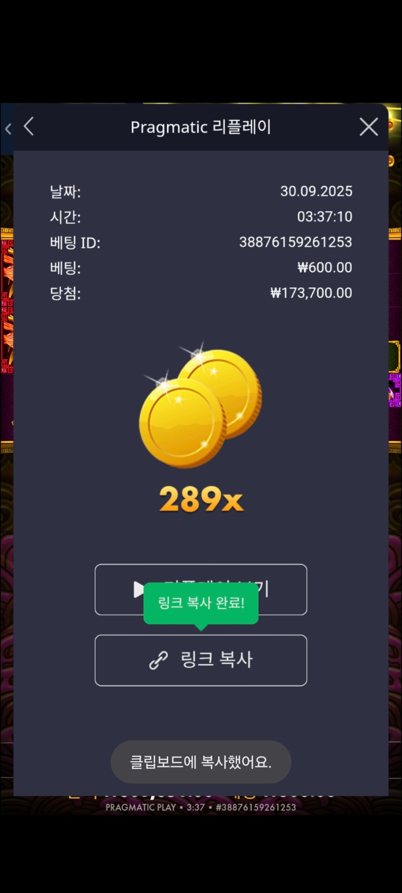 토라매289배