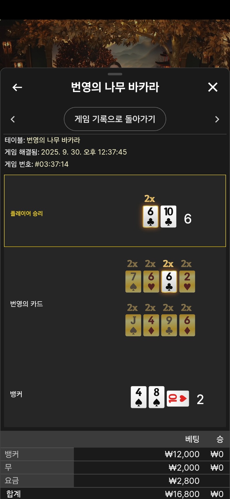 시경 바카라