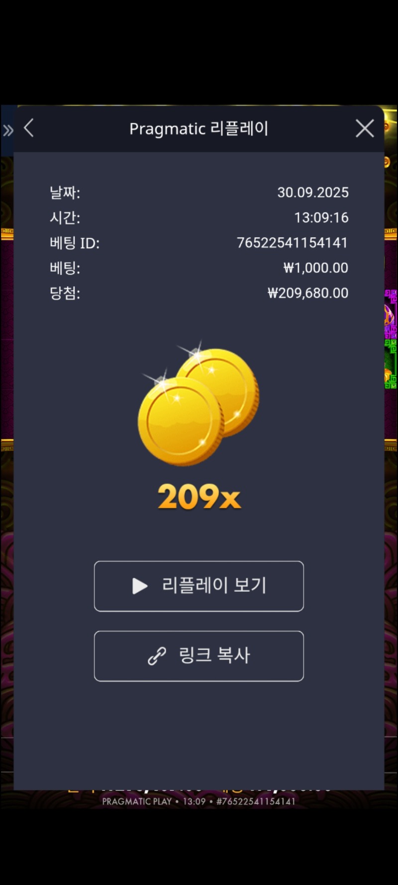토라매 209배