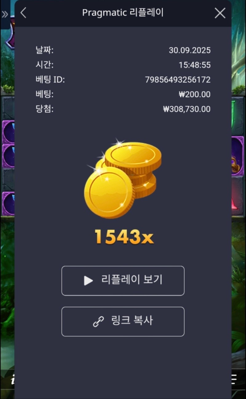 멀린 1543