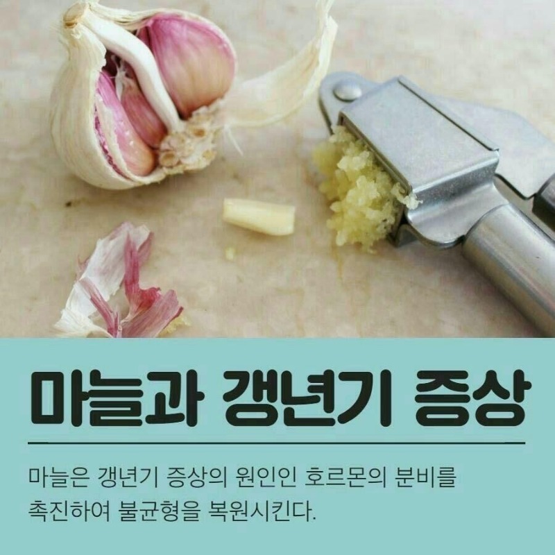 굿밤~마늘효능(경년기증상 등등)