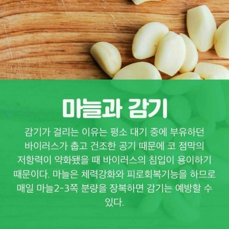 굿밤~마늘효능(경년기증상 등등)