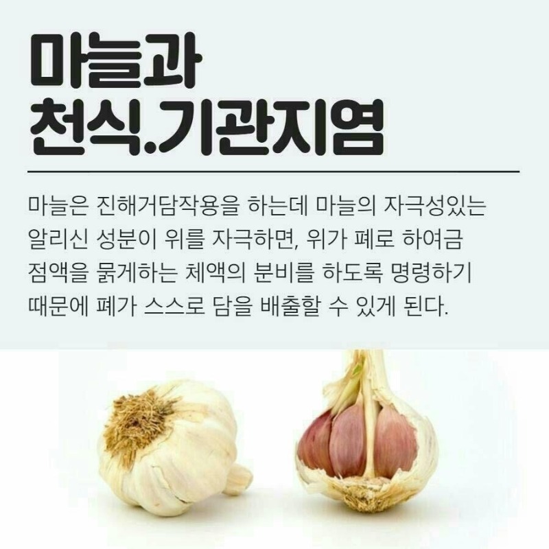 굿밤~마늘효능(경년기증상 등등)