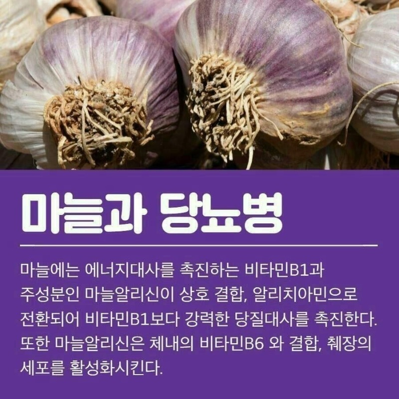 굿밤~마늘효능(경년기증상 등등)