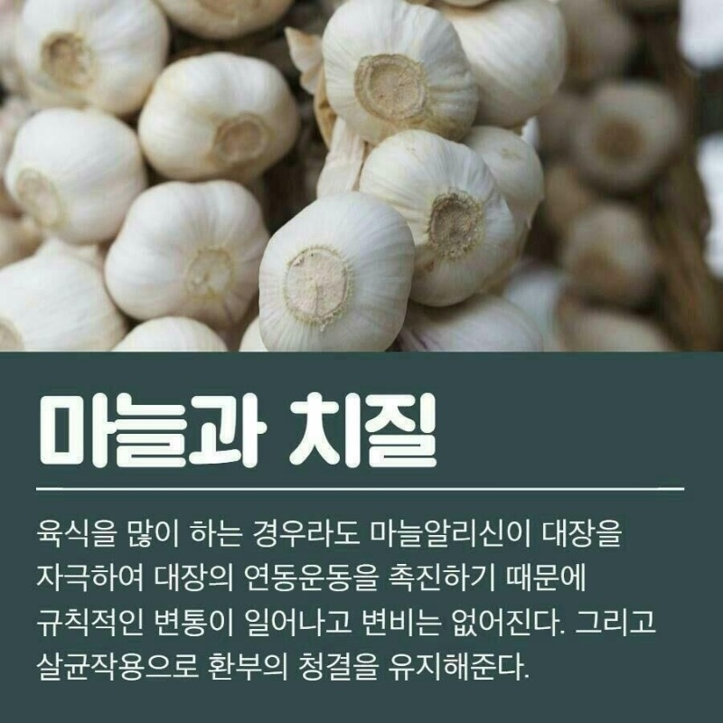 굿밤~마늘효능(경년기증상 등등)