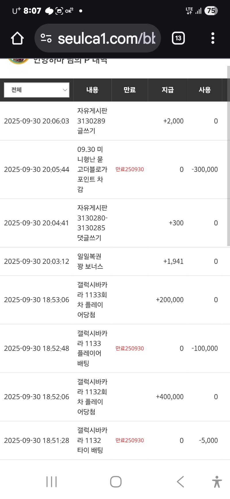미니형난 화이팅
