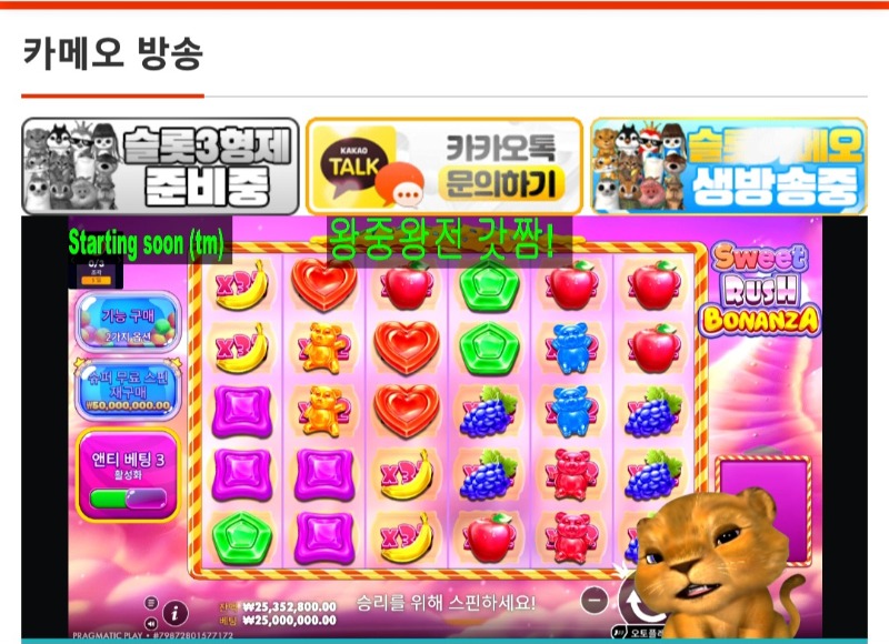 4번째주자 왕중왕전 사자 1등 독주