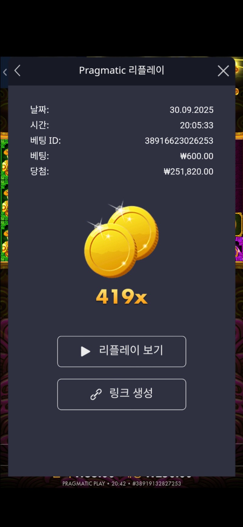 오배 토라메 419배