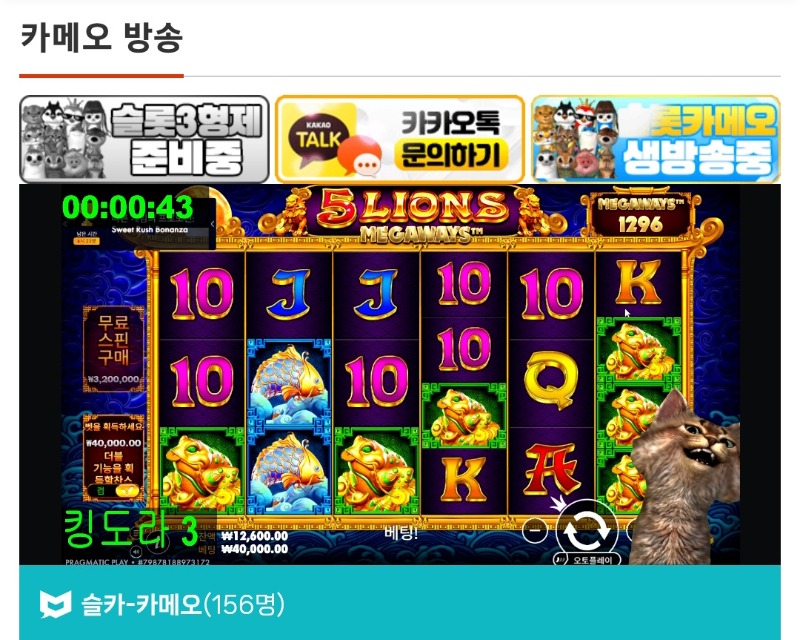 왕중왕5번째주자 막내양이형결과공유