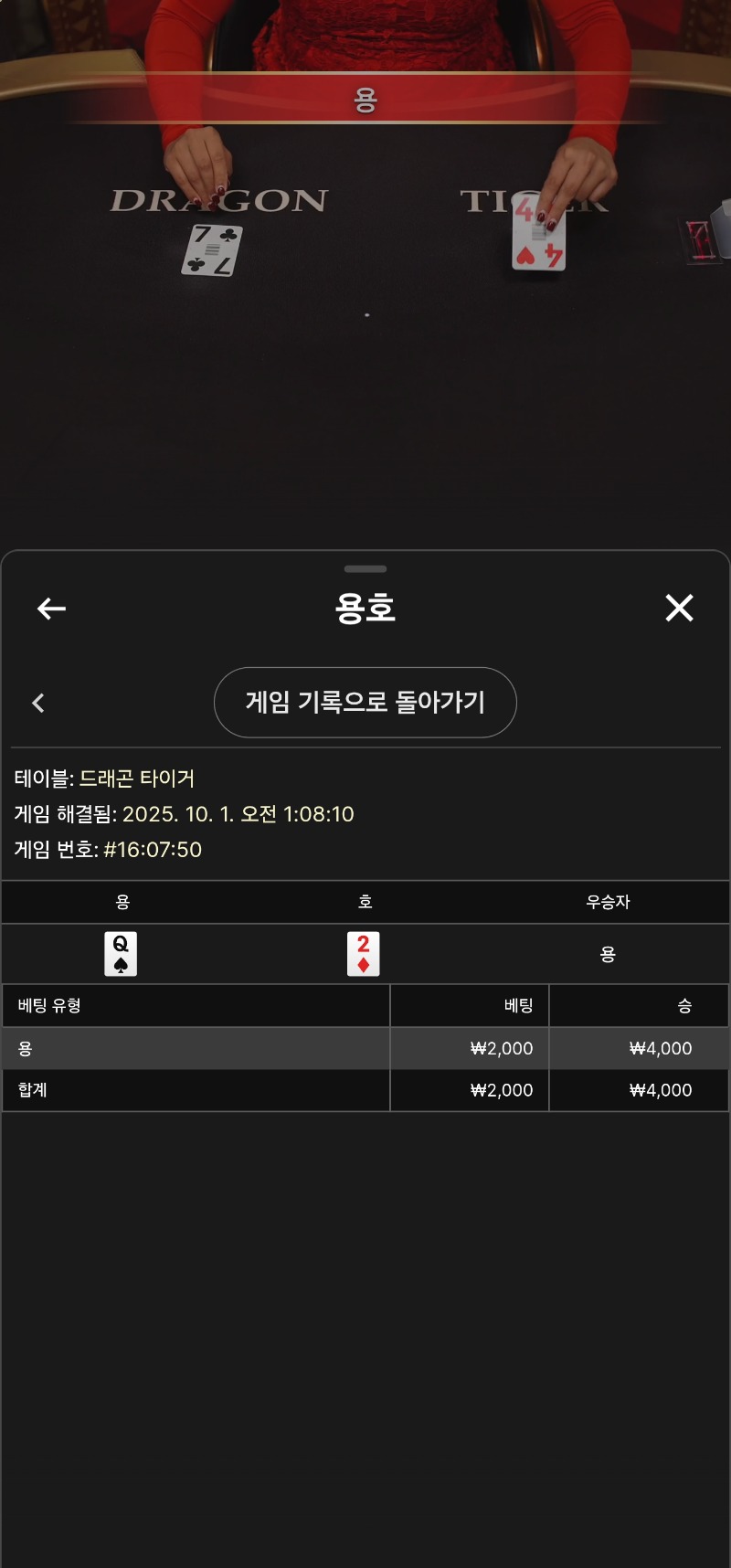 짜투리 용호 3