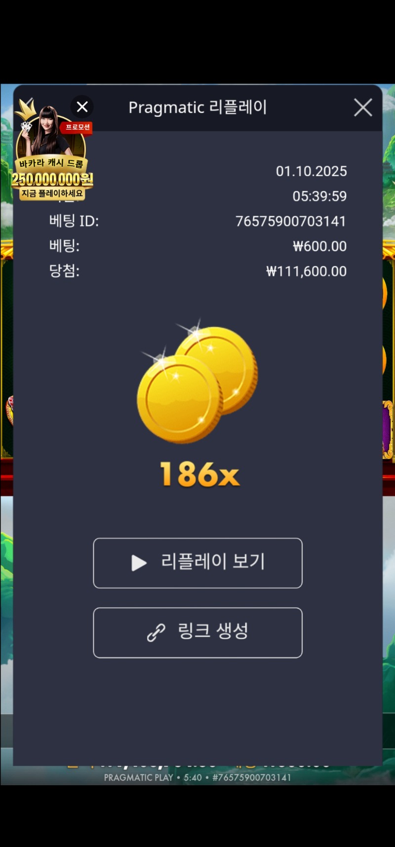 팬더2  186배