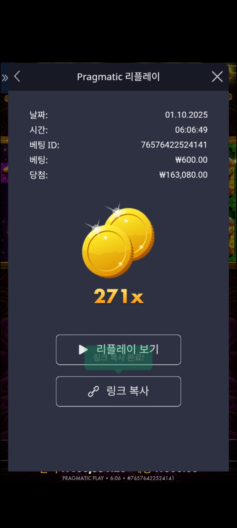 토라매 271배
