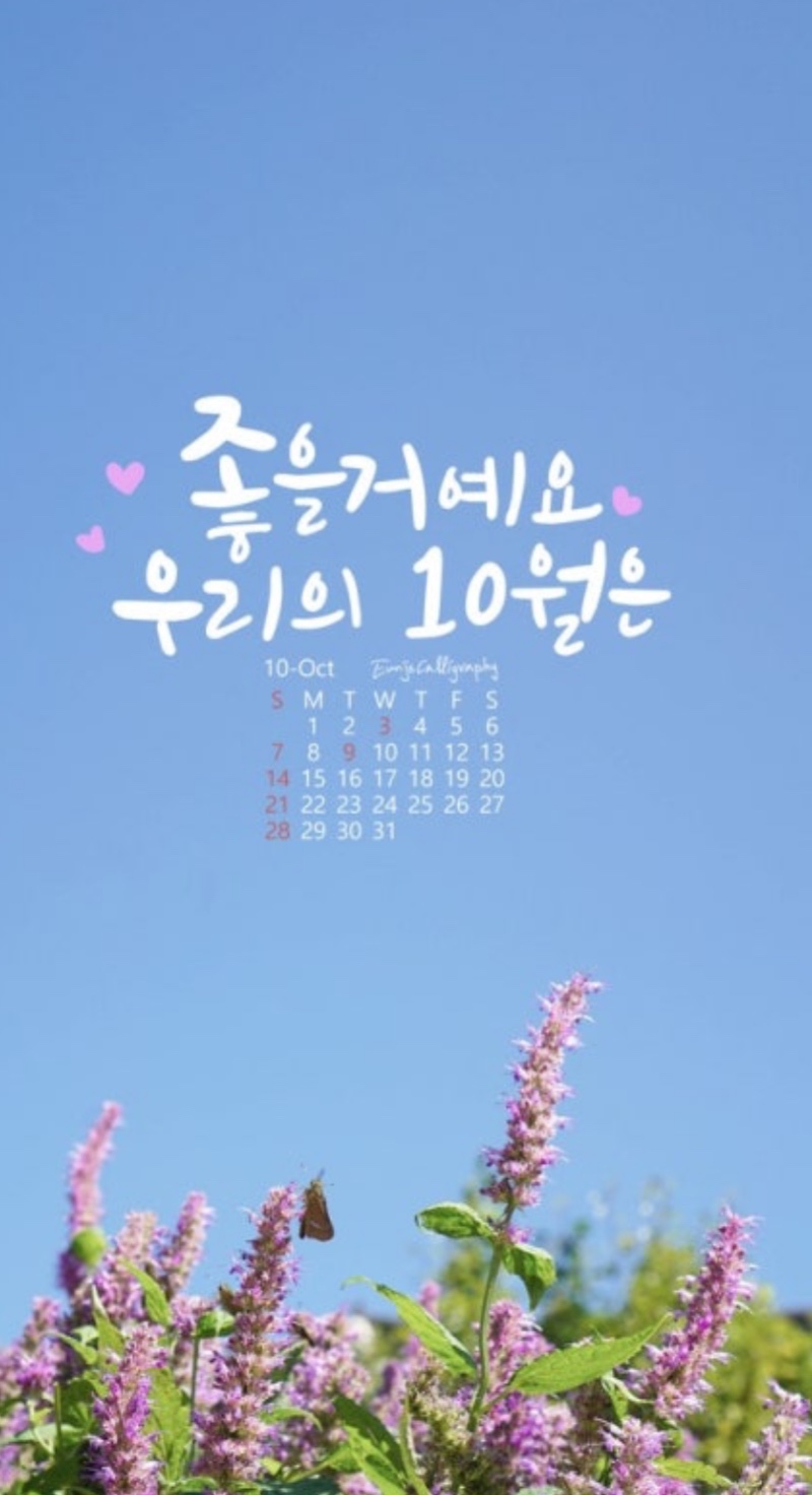 10월이네요~~
