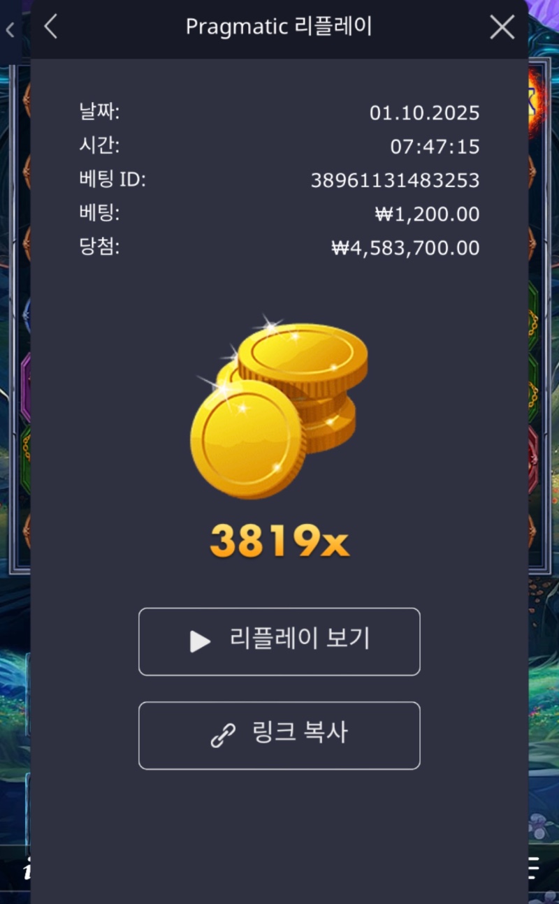 파포: