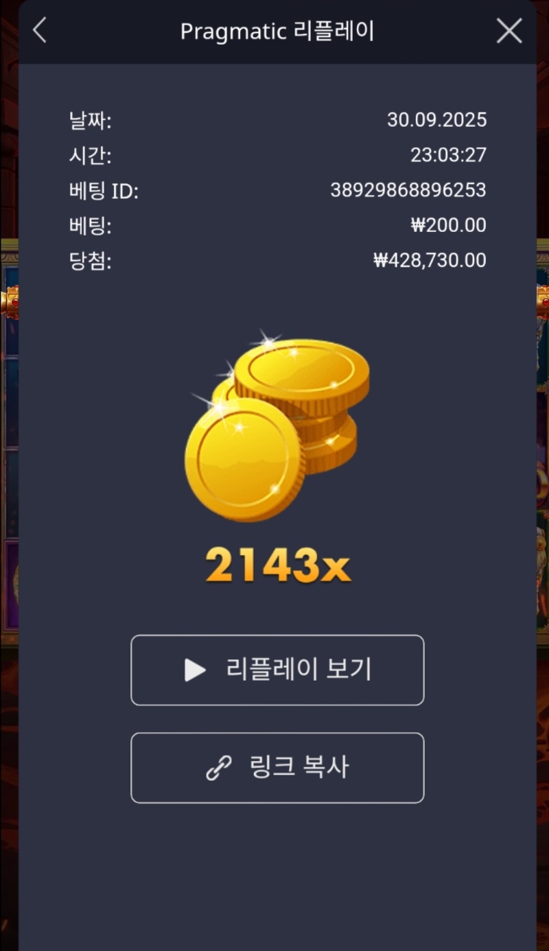 폼페이2143