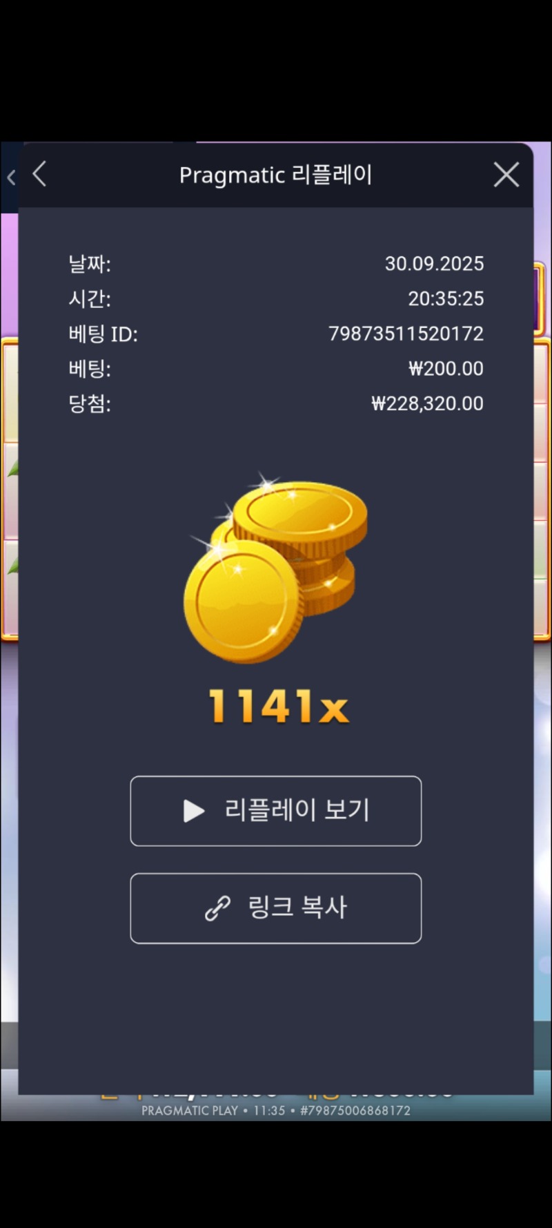 쥬시1141