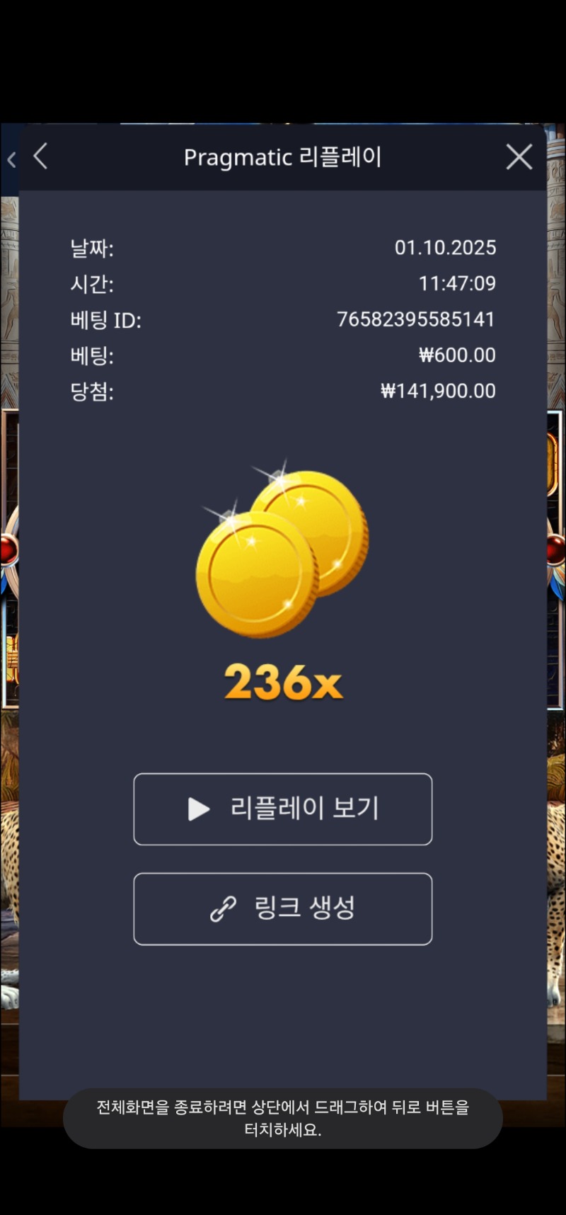 아이스톰 236배